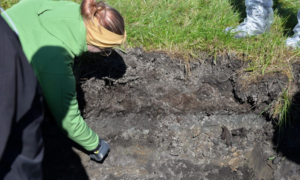 ihminen peltomaan kerroksia tutkimassa