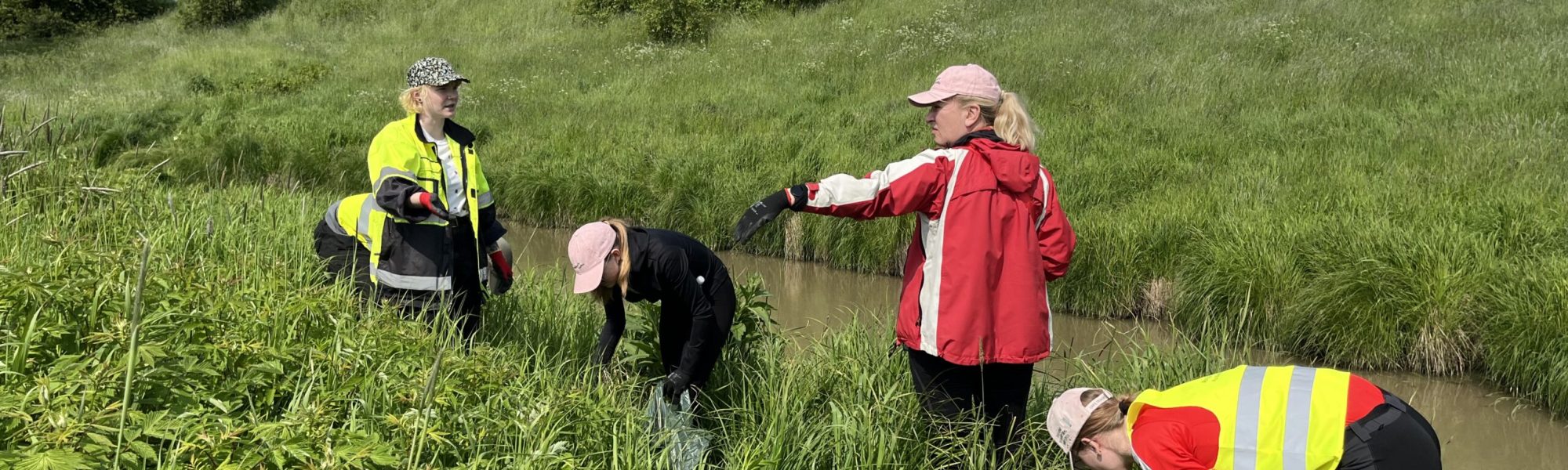 viisi henkilöä niityn laidassa työvaatteissa