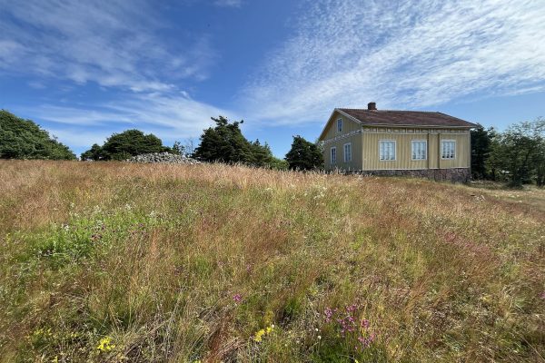 Valokuva niitystä jonka taustalla näkyy rakennus