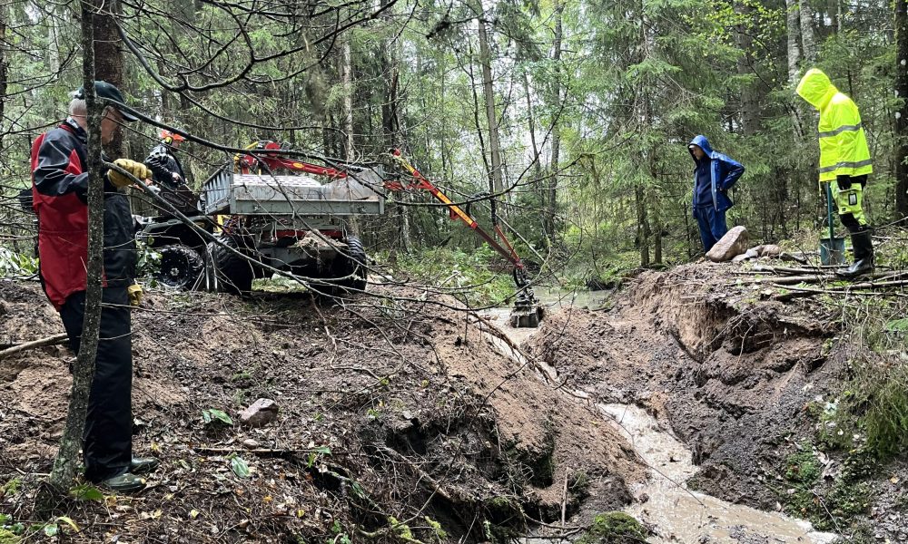 Vanhan metsätien tierumpu poistettiin. Kuva: Anni Himberg.