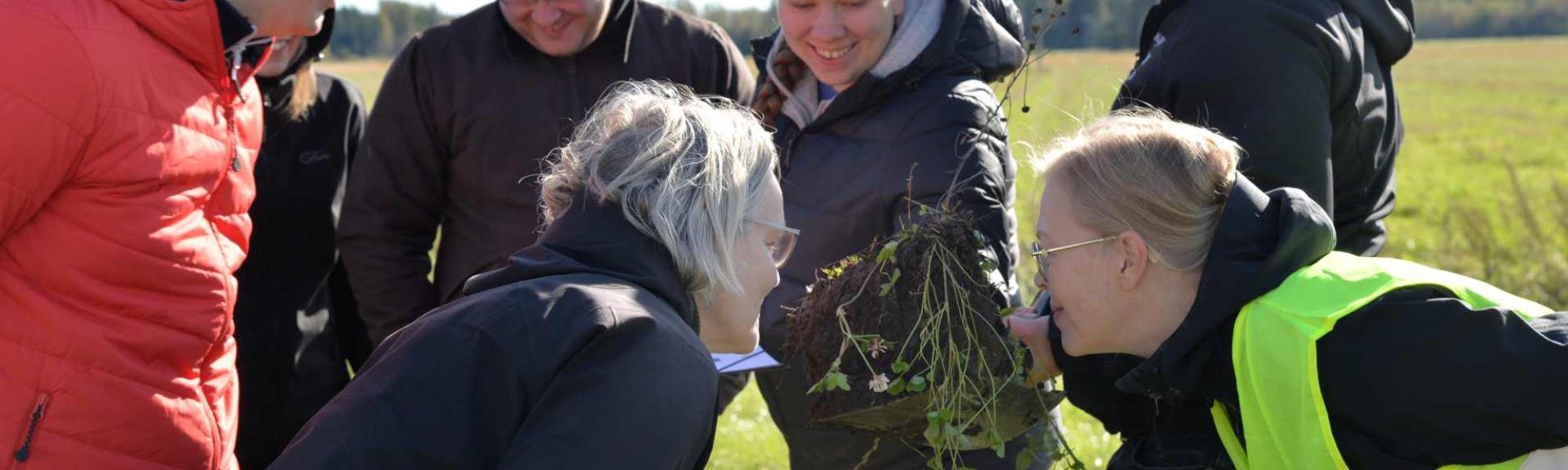 ihmisiä tutkimassa ja haistelemassa maan rakennetta