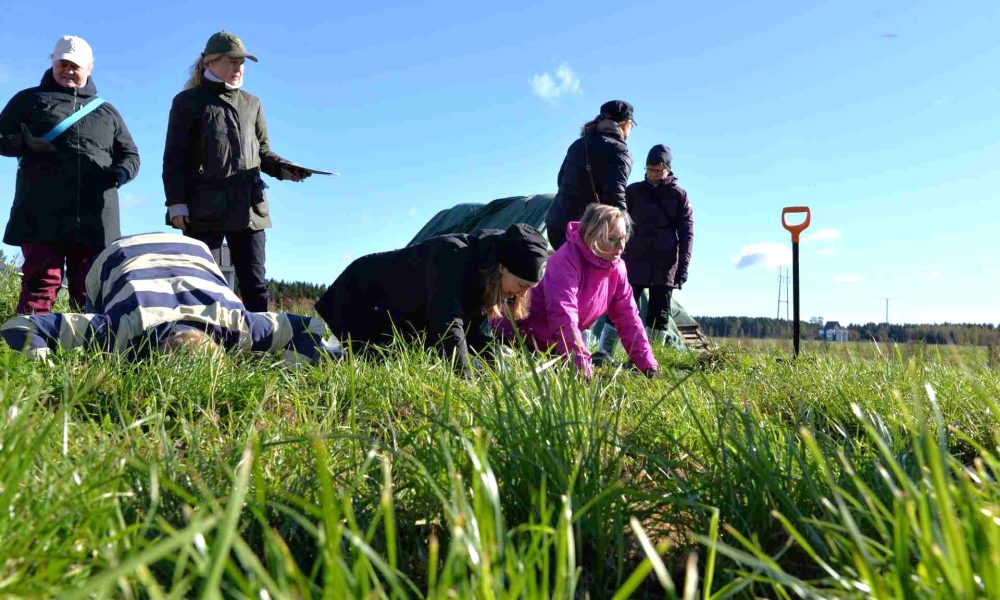 Ihmisiä haistelemassa peltoa, etualalla nurmea, taustalla taivasta.