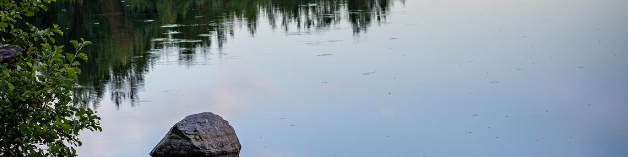 vesialue jonka ympärillä puita ja kasveja
