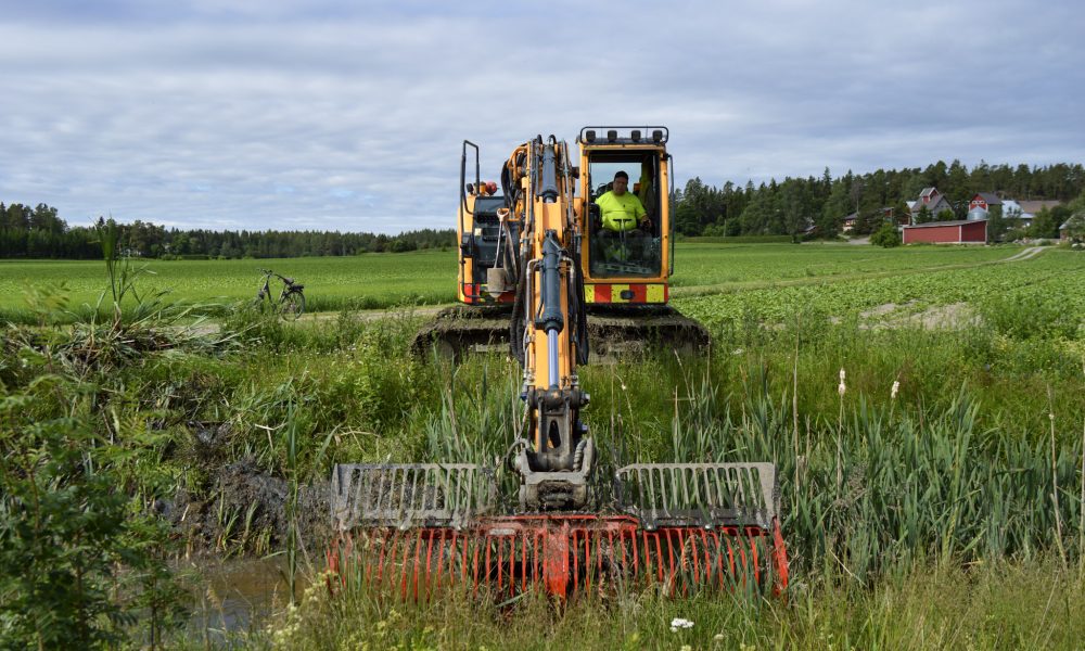 Niittokauha poistaa kasvillisuutta ojasta