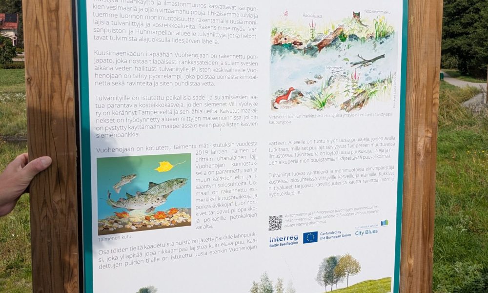 Ingotaulu Vuohenojan tulvaniityistä.