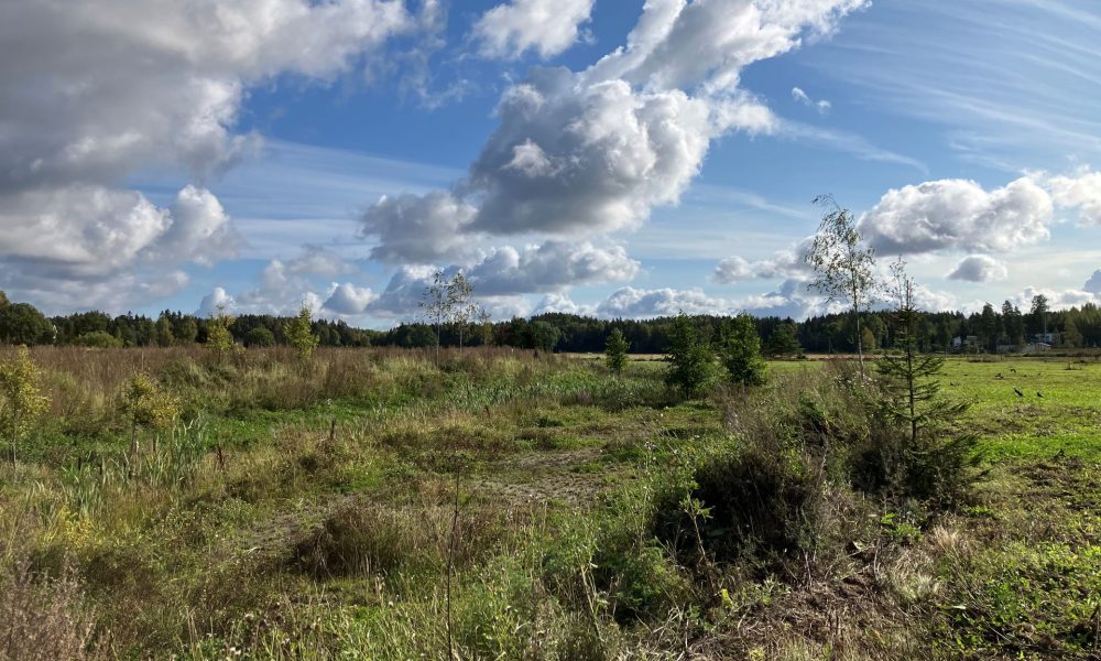 Maskun Koivumäen uoman kaksitasouoma.