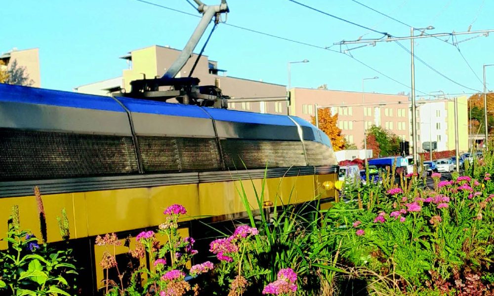 Raitiovaunu kulkee radalla, jota reunustaa korkea ja värikäs niittykasvillisuus. Etualalla näkyy vaaleanpunaisia kukkia, taustalla kerrostaloja ja sininen taivas.