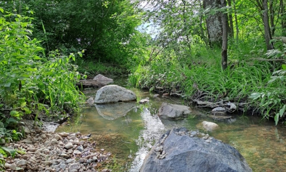 Ladjakoskenpuron kunnostettua uomaa